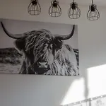 Am Bauernhof, Korbingerhof Rinn