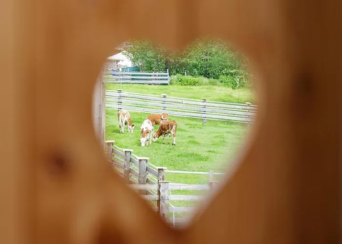 Am Bauernhof, Korbingerhof Appartamento Rinn