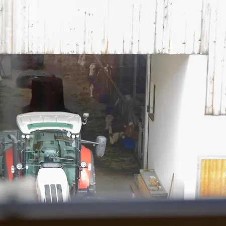 Am Bauernhof, Korbingerhof *