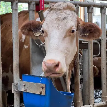 דירה Am Bauernhof, Korbingerhof *