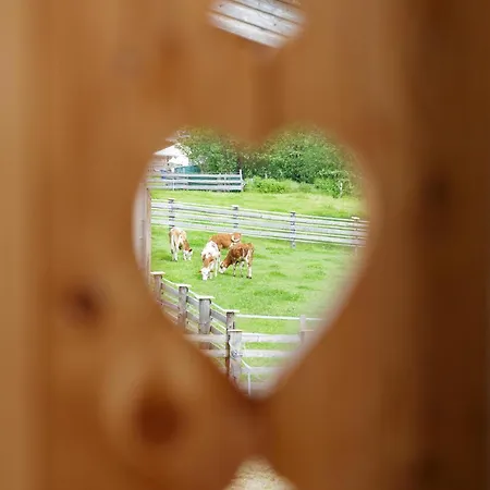 Am Bauernhof, Korbingerhof דירה רין